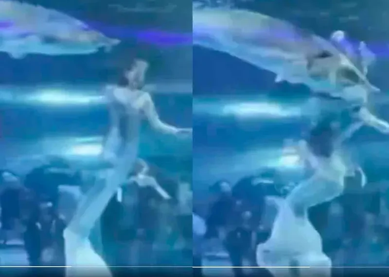 Colosal pez ataca a sirena en acuario de China ante decenas de espectadores horrorizados