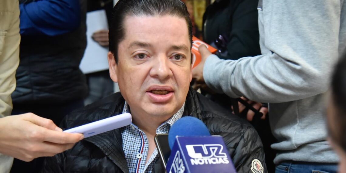 Invitan a la población a depositar los pinos naturales en el vivero municipal