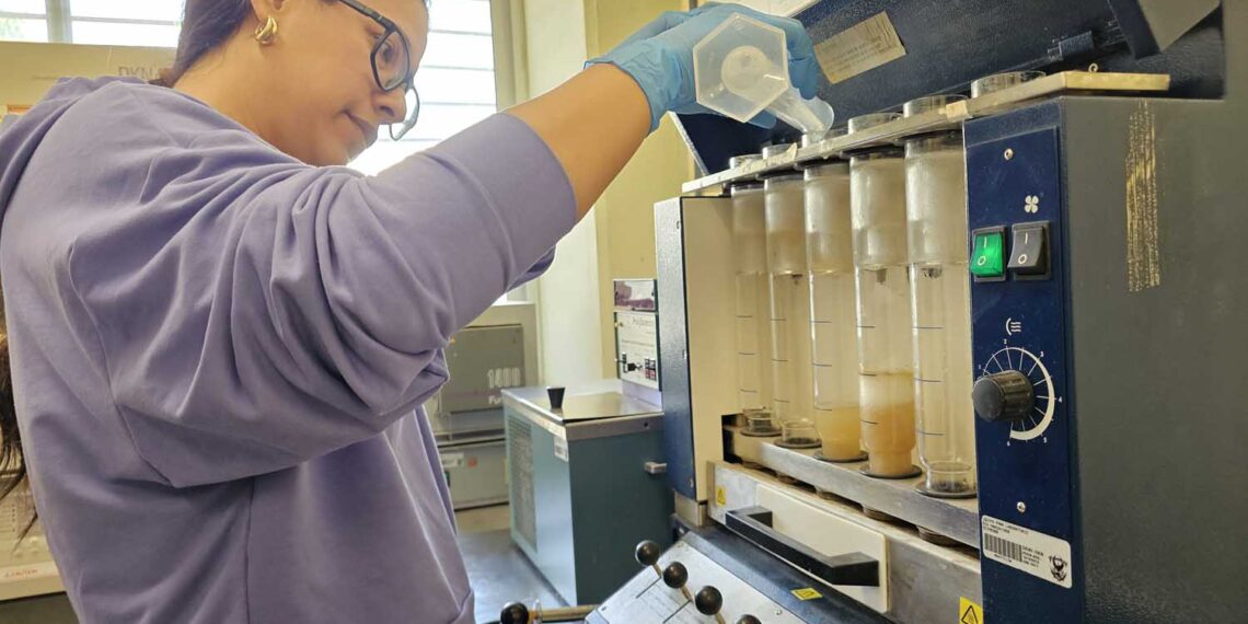 Doctorando de la UAS realiza investigación enfocada en elaboración de materiales biodegradables a partir de subproductos del mango