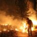 Los incendios forestales combinan los efectos de la sequía que se vive actualmente y los errores humanos al provocarlos en un 90% de los casos