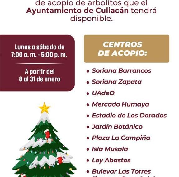 Instalarán Centros de Acopio para árboles de navidad en Culiacán