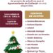 Instalarán Centros de Acopio para árboles de navidad en Culiacán