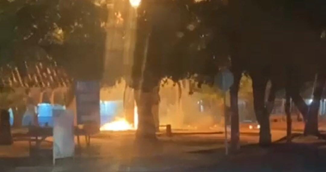 Cuatro palmas arden en el sector Las Mañanitas en Los Mochis – NR | NOTICIAS