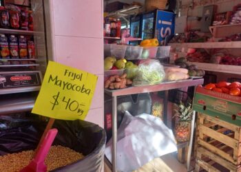 Canasta básica: ¿En peligro?,este es el precio del frijol, carne, aguacate y más…