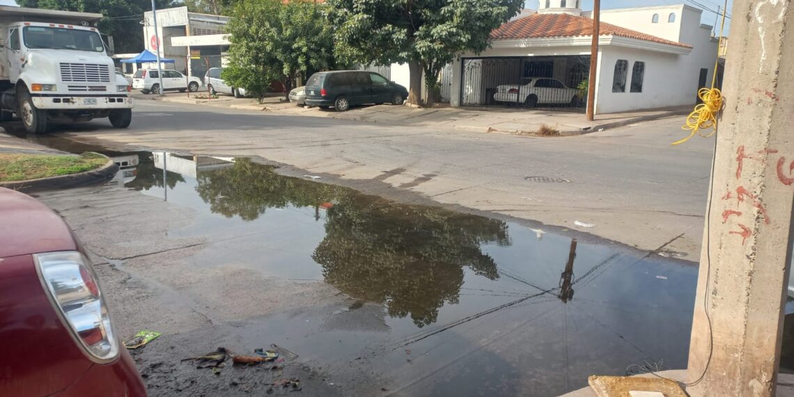 Vecinos de colonia centro reportan fuga de agua – NR | Noticias