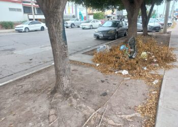 Ciudadanos reportan contaminación por basura en la calles. NR | Noticias