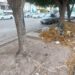 Ciudadanos reportan contaminación por basura en la calles. NR | Noticias