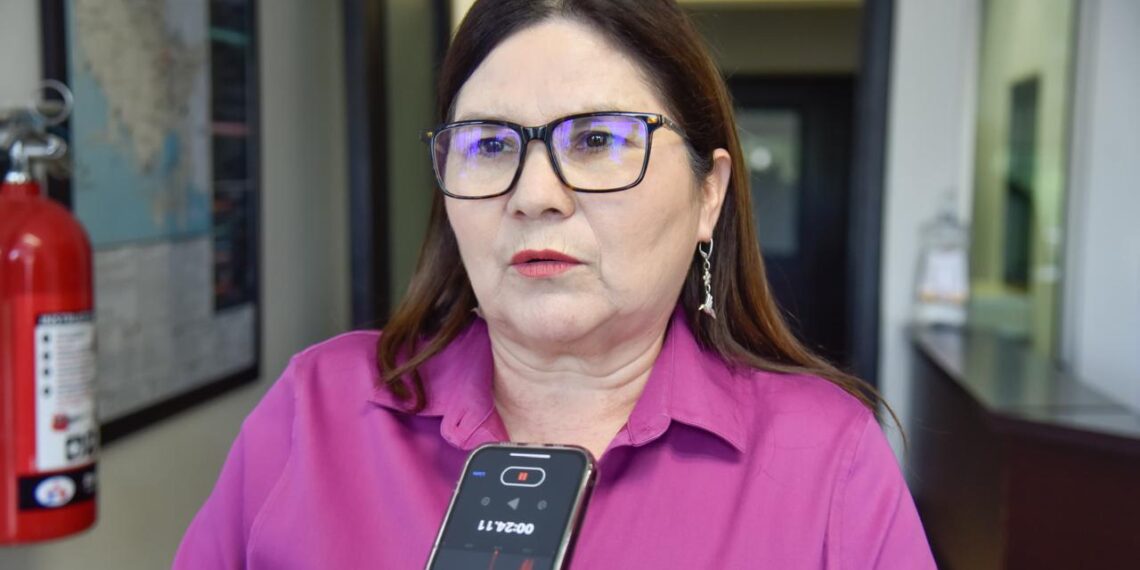 Estados Unidos no hará deportaciones de mexicanos: Imelda Castro – NR | NOTICIAS 