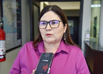 Estados Unidos no hará deportaciones de mexicanos: Imelda Castro – NR | NOTICIAS 