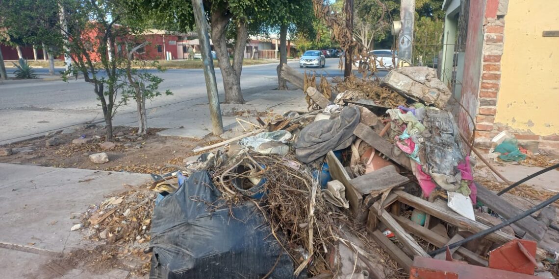 Ahomenses opinan acerca de la multa por tirar basura fuera de lugar.