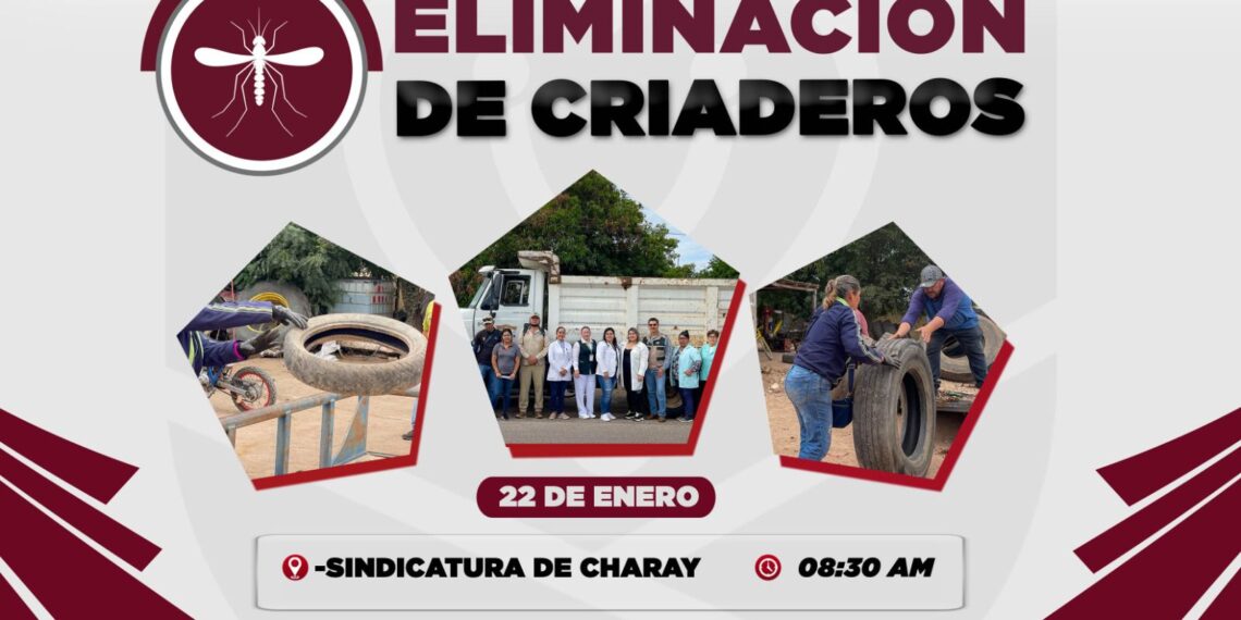 Jornada de Eliminación de Criaderos en Charay: Unidos contra el Dengue, Zika y Chikungunya