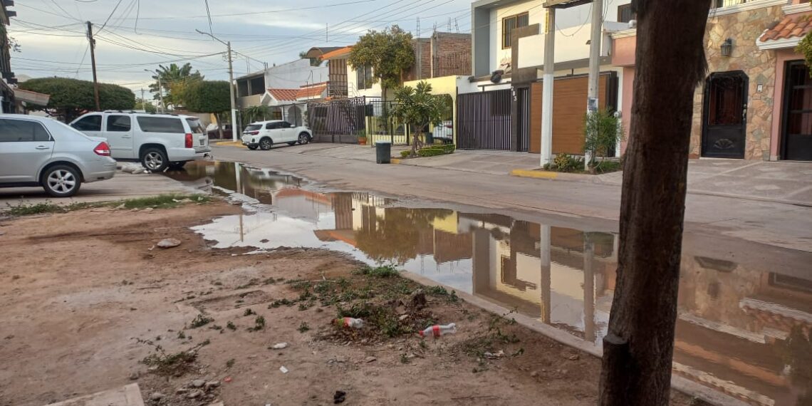 Vecinos del Fracc. Parque México reportan una fuga de agua potable. NR | Noticias
