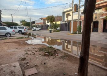 Vecinos del Fracc. Parque México reportan una fuga de agua potable. NR | Noticias