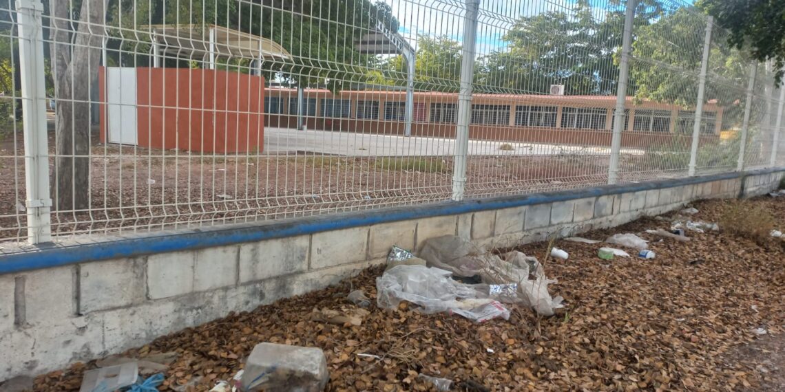 Vecinos de la colonia centro reportan contaminación por basura en escuela. NR | Noticias.