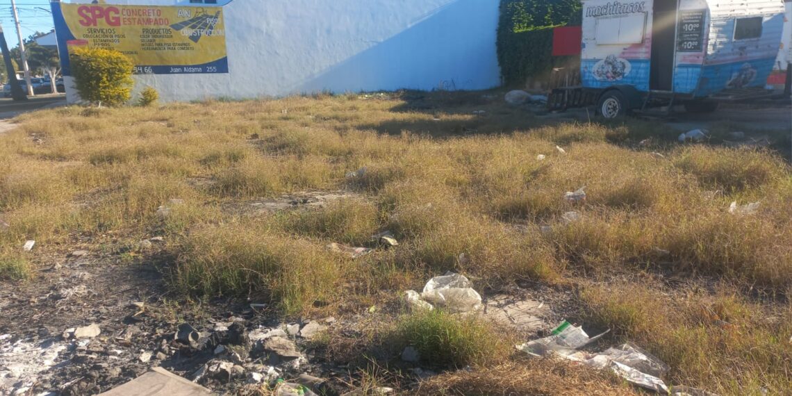 Vecinos de la colonia centro reportan contaminación por basura en terrenos baldíos. NR | Noticias