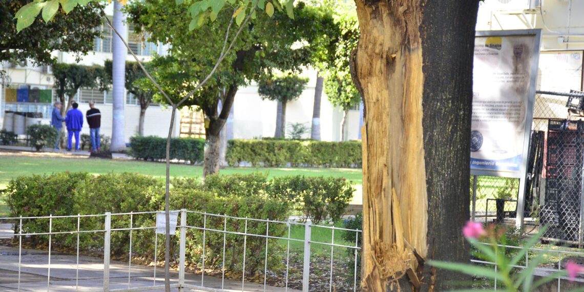 Forma de vida actual está llevando a acelerar el deterioro de la biosfera; se buscan comodidades a un costo de afectación a la naturaleza, dice experto