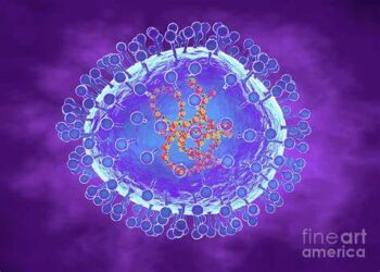 El Metapneumovirus no es un virus  grave, según afirma la  Secretaría de Salud.