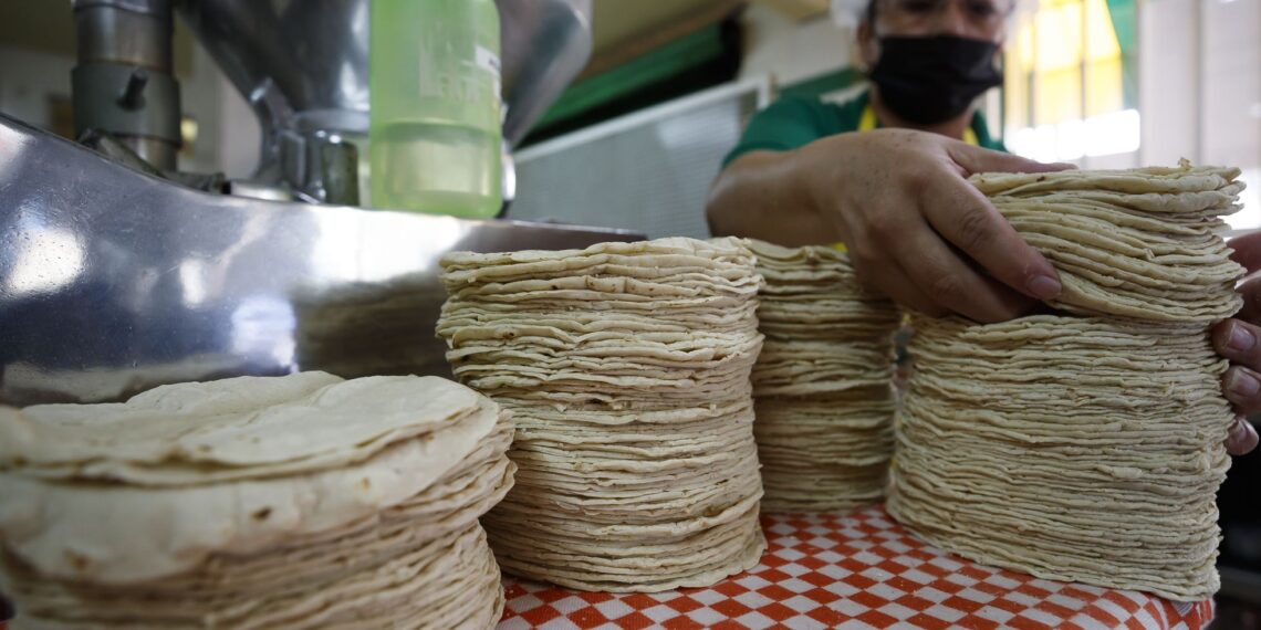 Precio de la tortilla: ¿En qué estado se vende más caro el kilo de este producto esencial para los mexicanos?