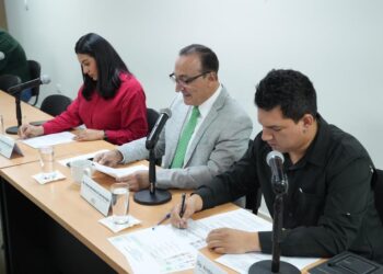 Avanza iniciativa para tipificar el delito de transfeminicidios