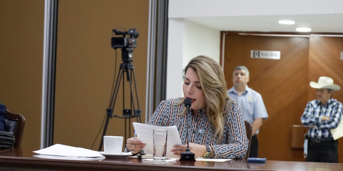 Elección de jueces y ministros será un fraude, critica Roxana Rubio