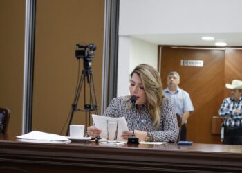 Elección de jueces y ministros será un fraude, critica Roxana Rubio