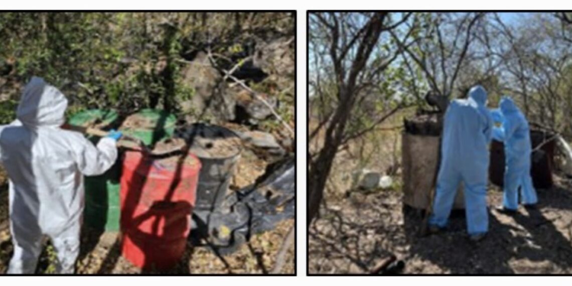 Aseguran 9 narcolaboratorios en Culiacán, Cosalá y Mocorito