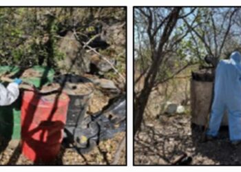 Aseguran 9 narcolaboratorios en Culiacán, Cosalá y Mocorito