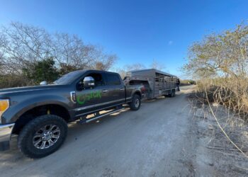 Con armas largas, despojan a Ostok de vehículo para salvar animales silvestres