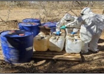 Aseguran otros 11 narco laboratorios en Culiacán, Cosalá y Mocorito