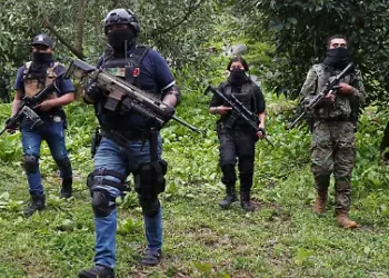 EE.UU. planea clasificar a 5 cárteles mexicanos como terroristas