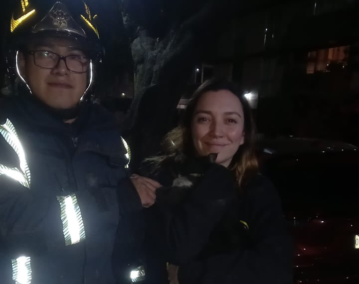 ¡Ya nos exhibiste! Bomberos rescatan al gatito de “Bibi”