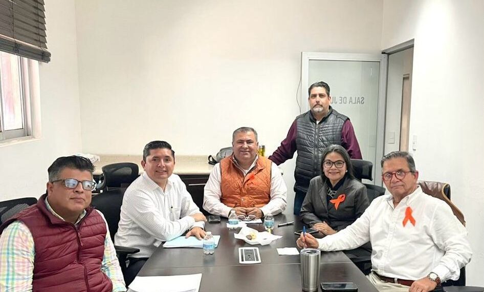 Comisión de Gobernación de Ahome llama a evitar actos de campaña anticipada en el plebiscito de síndicos