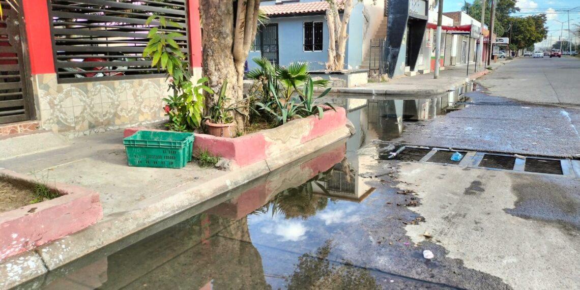 ¡Más de 20 años así! Vecinos denuncian aguas negras en la colonia Palos Verdes