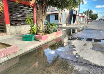 ¡Más de 20 años así! Vecinos denuncian aguas negras en la colonia Palos Verdes