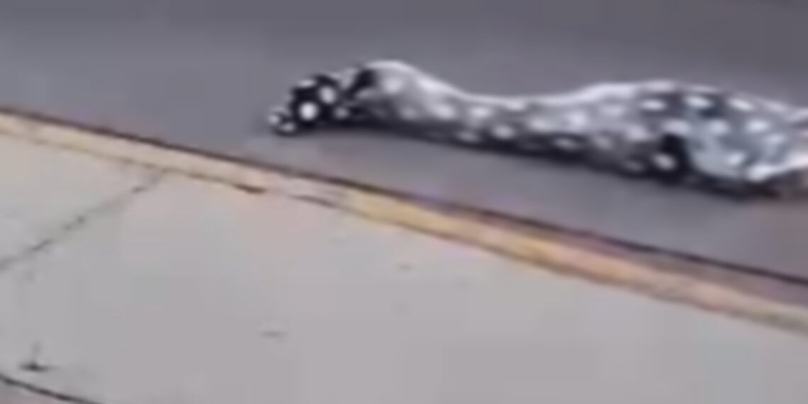 Dejan un cadáver emplayado a espaldas de la Torre Académica de la UAS