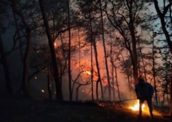 Se han registrado tres incendios forestales en Sinaloa en lo que va del año