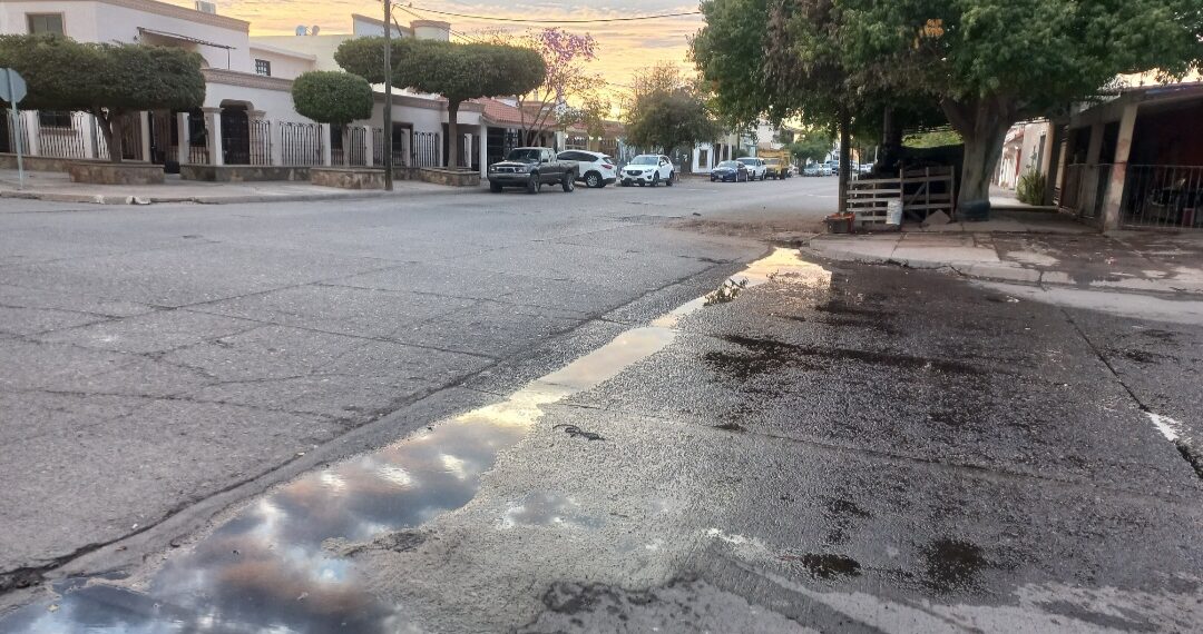 Ciudadanos reportan fuga de agua en calle Heriberto Valdez – NR | NOTICIAS
