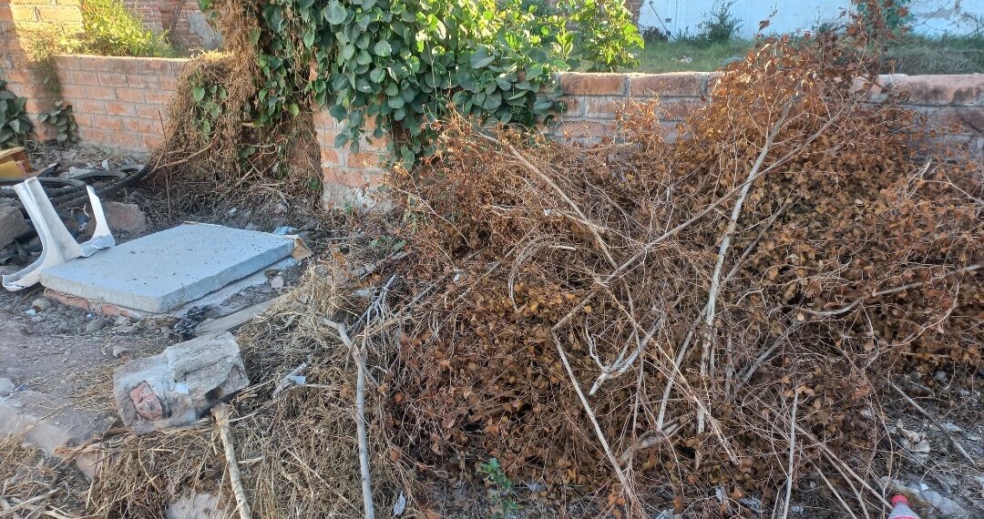 Ciudadanos reportan obstrucción por basura en calle Ignacio Ramirez – NR | NOTICIAS