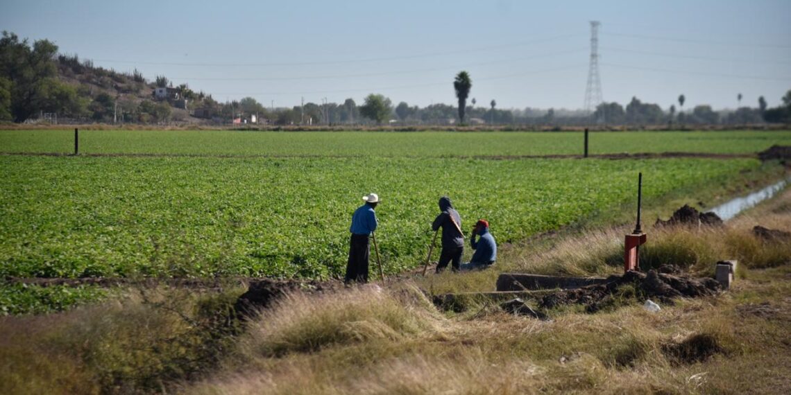 “Bombas charqueras deben contar con permiso de los módulos de riego”: Juan Garibaldi