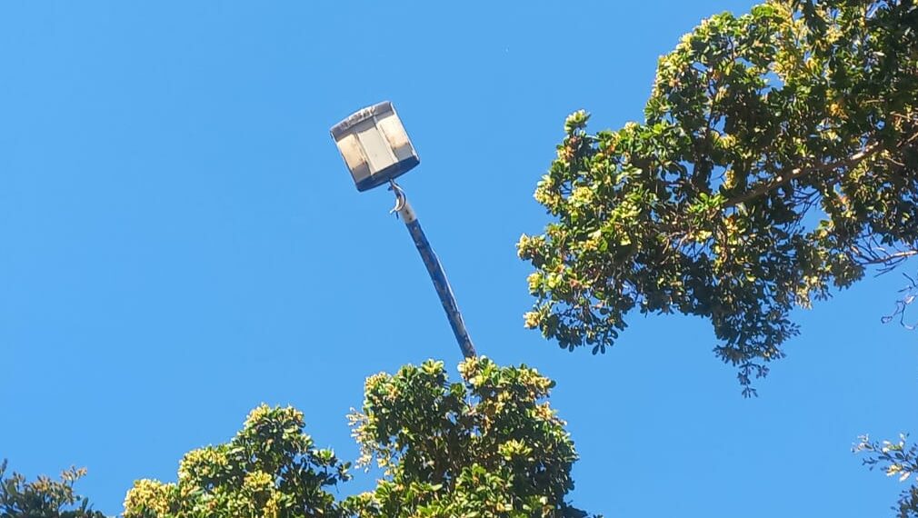 ¿¡Con luz en el día!? 7 mil lámparas dañadas en Ahome: Servicios Públicos – NR | NOTICIAS