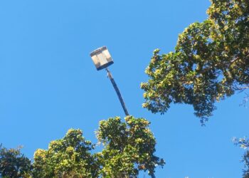 ¿¡Con luz en el día!? 7 mil lámparas dañadas en Ahome: Servicios Públicos – NR | NOTICIAS