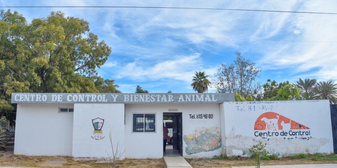 Salud Municipal promueve la adopción responsable de mascotas
