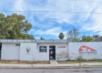 Salud Municipal promueve la adopción responsable de mascotas