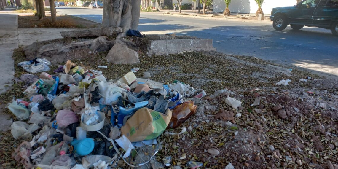 Vecinos del sector Parque reportan contaminación por basura – NR | NOTICIAS  