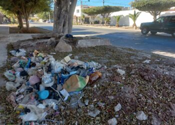 Vecinos del sector Parque reportan contaminación por basura – NR | NOTICIAS  