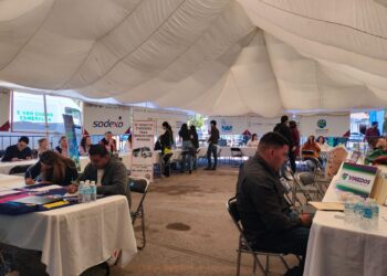 Más de 700 vacantes en la Feria del Empleo, Los Mochis – NR | NOTICIAS