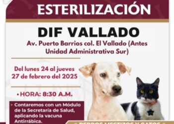 Campaña Gratuita de Esterilización para Perros y Gatos en DIF Vallado