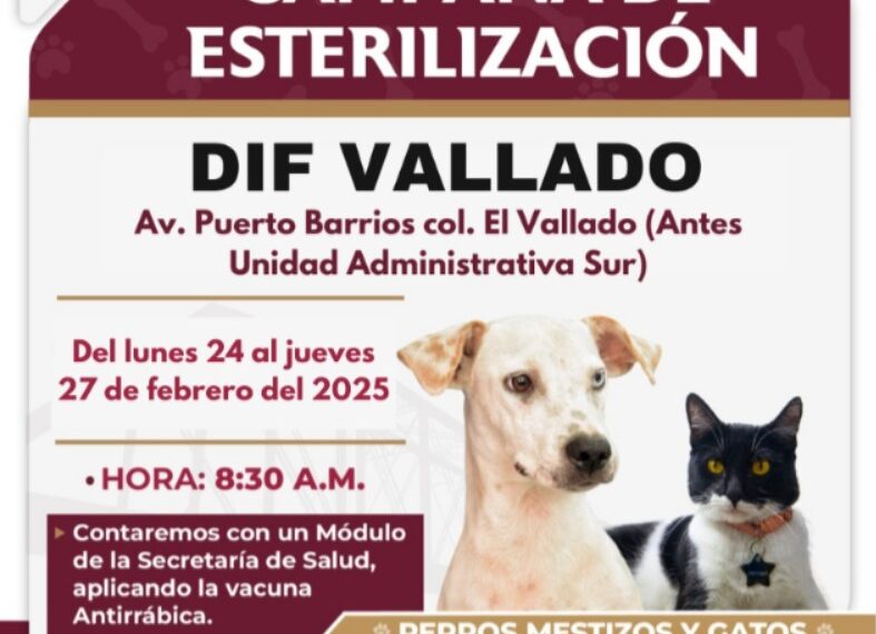 Campaña Gratuita de Esterilización para Perros y Gatos en DIF Vallado
