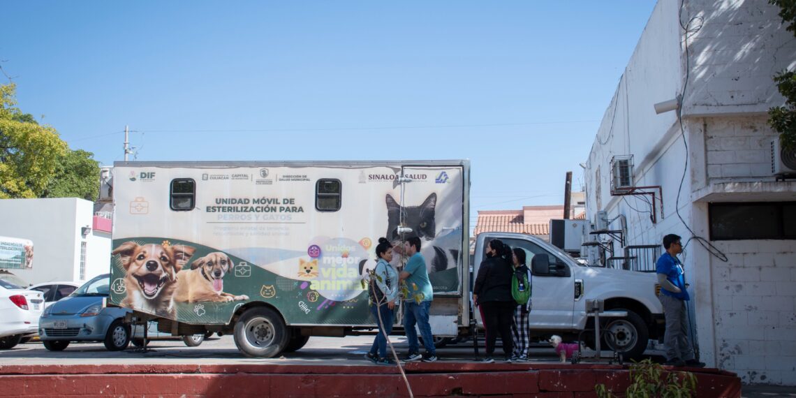 Inicia Campaña de Esterilización de perros y gatos en DIF Vallado