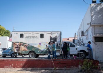 Inicia Campaña de Esterilización de perros y gatos en DIF Vallado